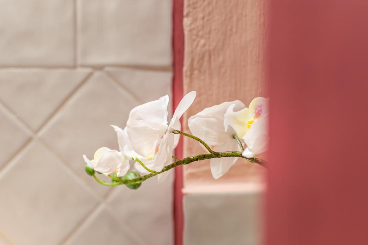 Wine Apartments Florence Vernaccia المظهر الخارجي الصورة
